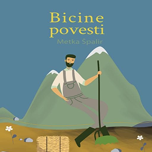 book cover for Bicine povesti