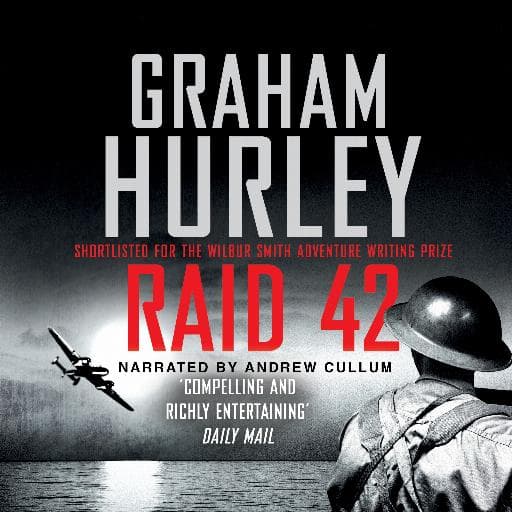 book cover for Raid 42