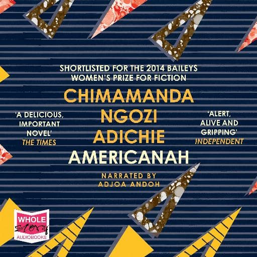 book cover for Americanah