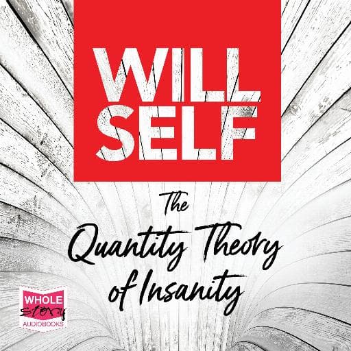 book cover for The Quantity Theory of Insanity